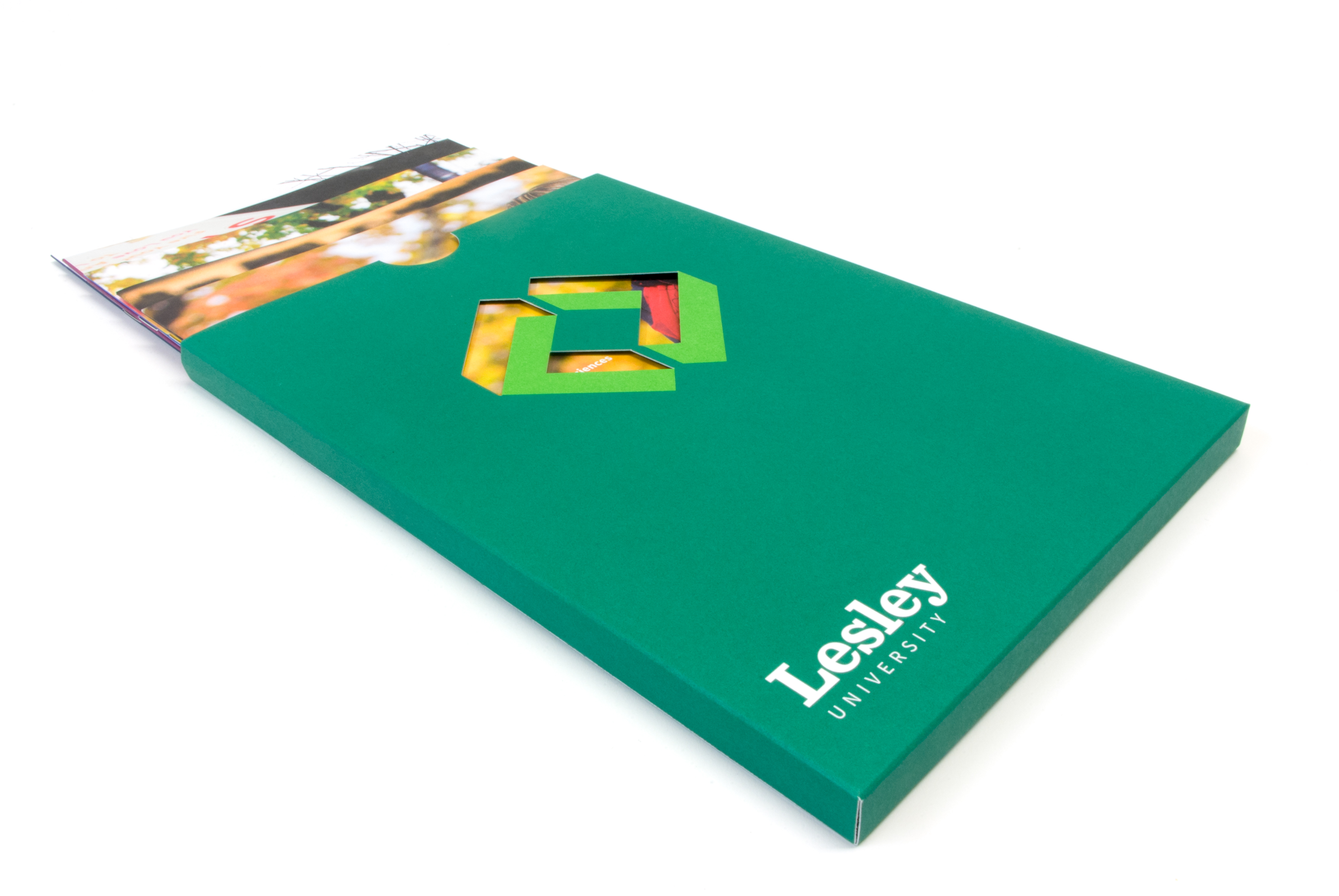 Undergraduate viewbook